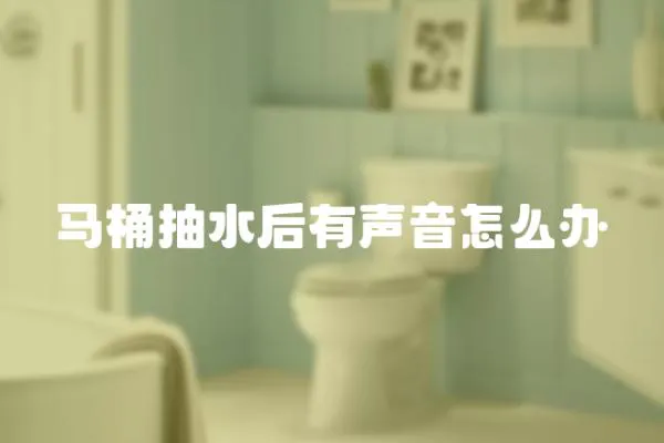 馬桶抽水后有聲音怎么辦