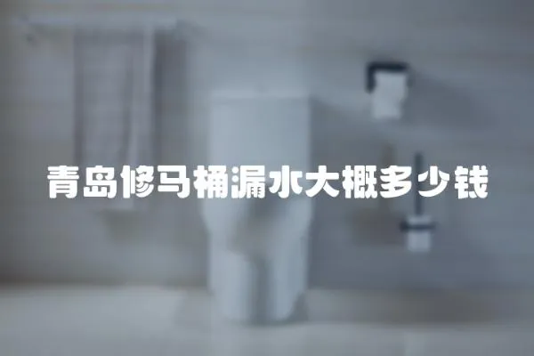 青島修馬桶漏水大概多少錢