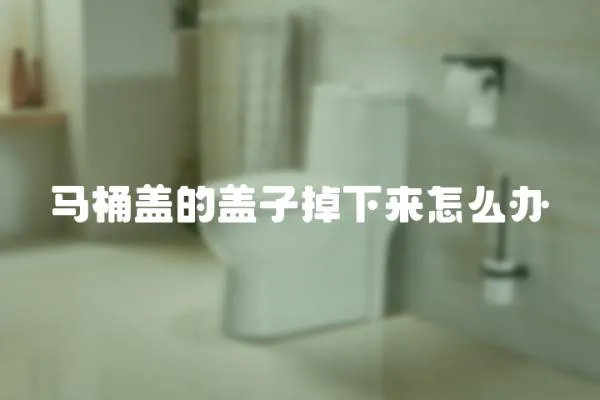 馬桶蓋的蓋子掉下來怎么辦