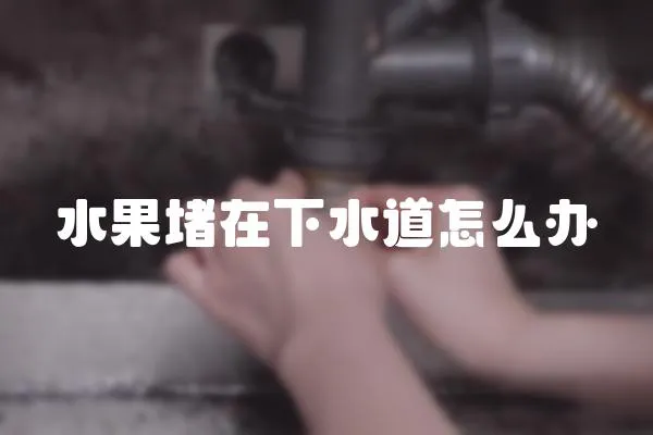水果堵在下水道怎么辦