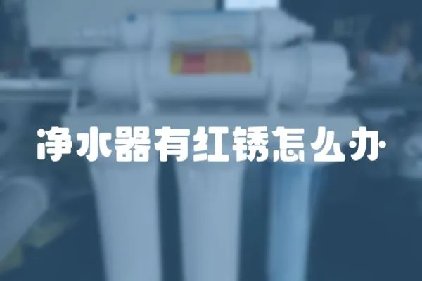 凈水器有紅銹怎么辦