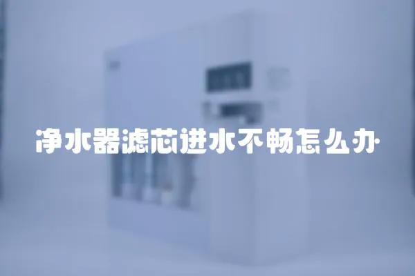 凈水器濾芯進水不暢怎么辦