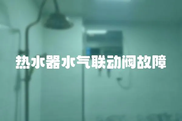 熱水器水氣聯動閥故障