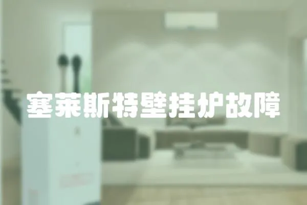 塞萊斯特壁掛爐故障