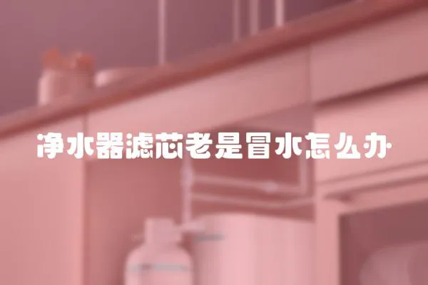 凈水器濾芯老是冒水怎么辦