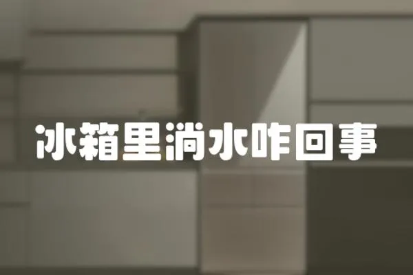 冰箱里淌水咋回事