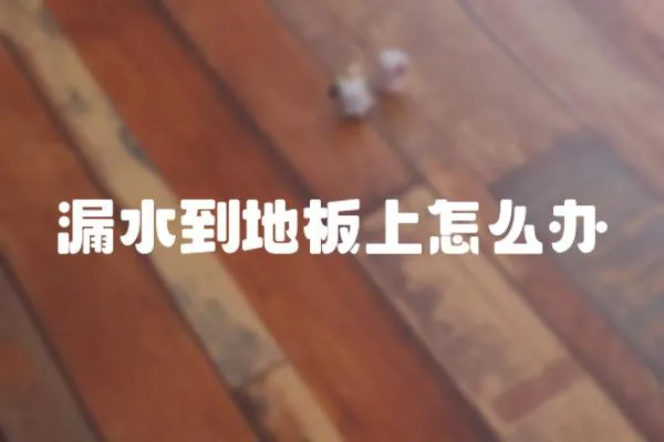 漏水到地板上怎么辦