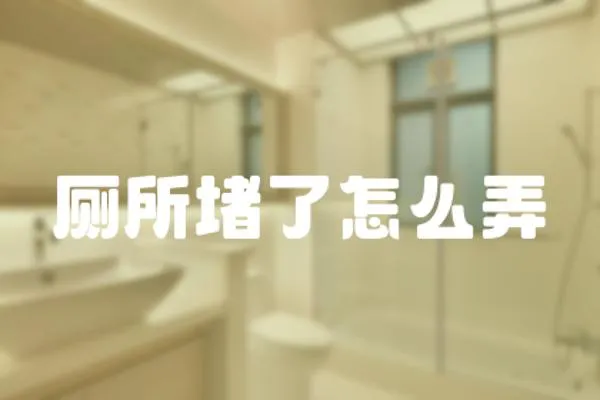 廁所堵了怎么弄