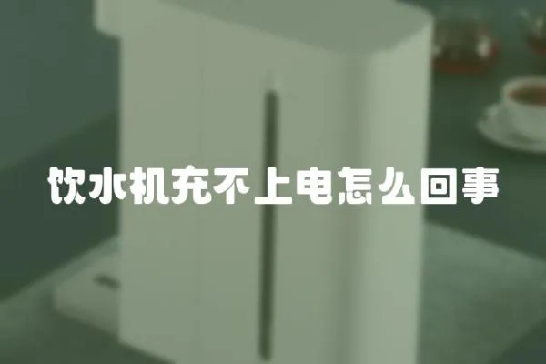 飲水機(jī)充不上電怎么回事