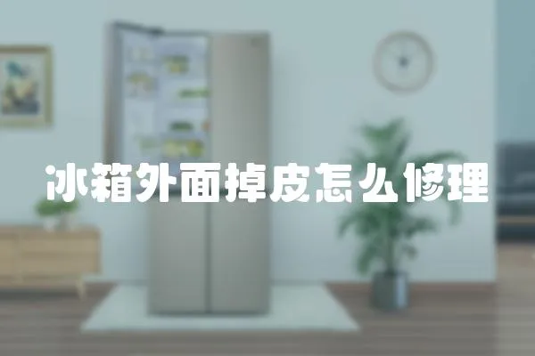 冰箱外面掉皮怎么修理