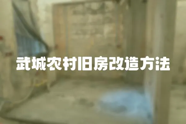 武城農村舊房改造方法