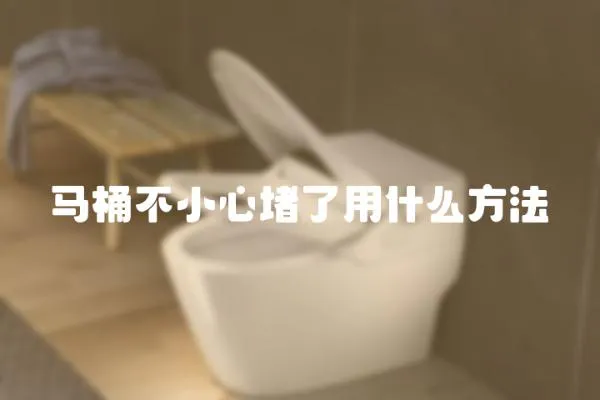 馬桶不小心堵了用什么方法