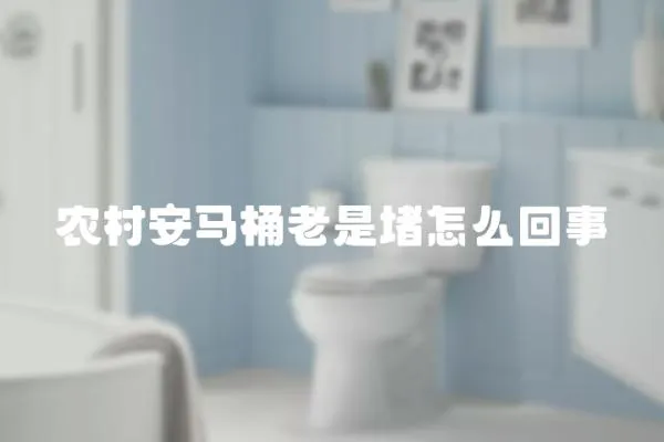 農(nóng)村安馬桶老是堵怎么回事