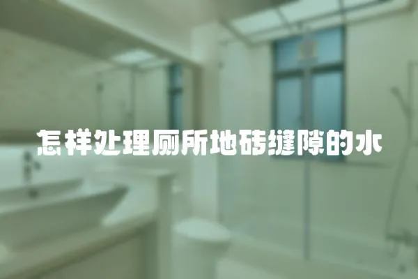 怎樣處理廁所地磚縫隙的水