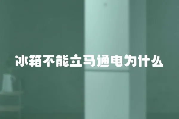 冰箱不能立馬通電為什么