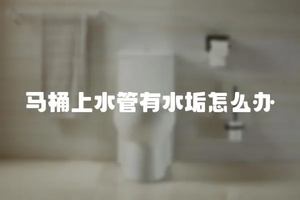 馬桶上水管有水垢怎么辦