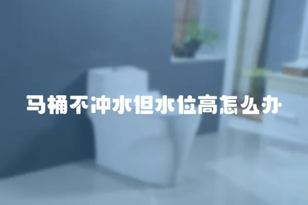 马桶不冲水但水位高怎么办