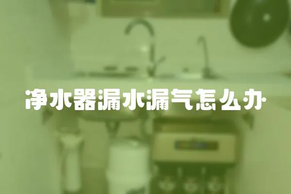 凈水器漏水漏氣怎么辦