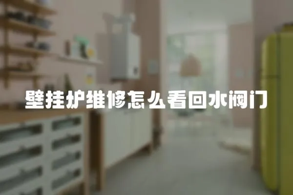 壁掛爐維修怎么看回水閥門