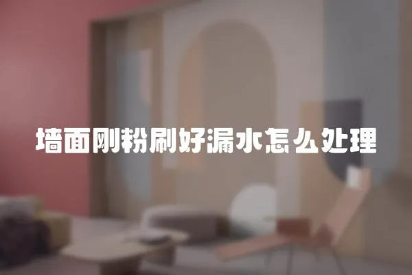 墻面剛粉刷好漏水怎么處理