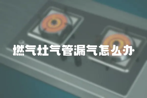 燃氣灶氣管漏氣怎么辦