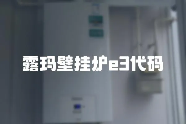 露瑪壁掛爐e3代碼