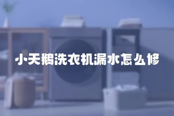 小天鵝洗衣機漏水怎么修