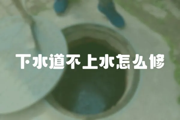 下水道不上水怎么修