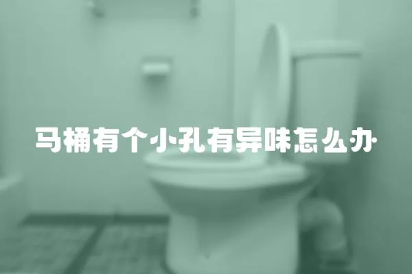 馬桶有個(gè)小孔有異味怎么辦
