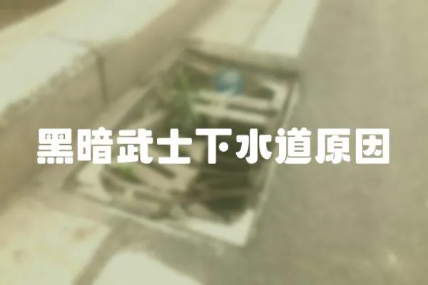 黑暗武士下水道原因