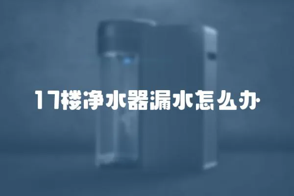 17樓凈水器漏水怎么辦