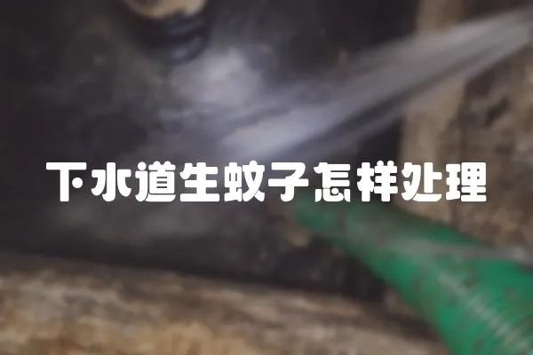 下水道生蚊子怎樣處理