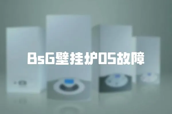 BsG壁掛爐05故障