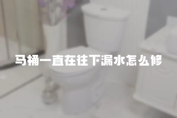 马桶一直在往下漏水怎么修