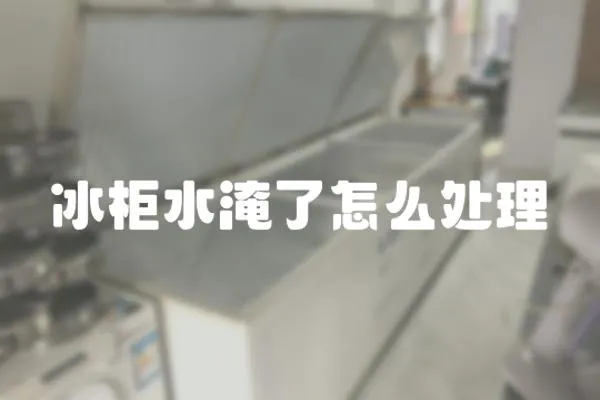 冰柜水淹了怎么處理