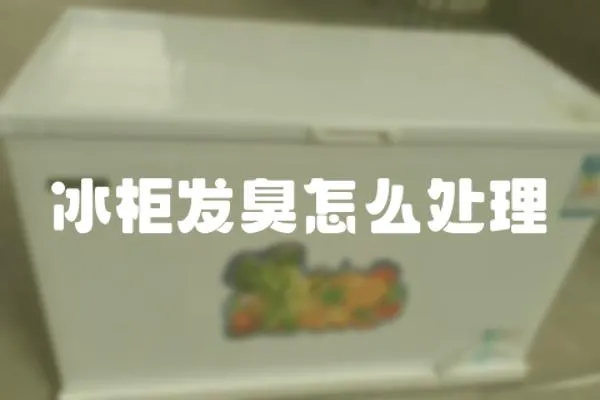 冰柜發(fā)臭怎么處理