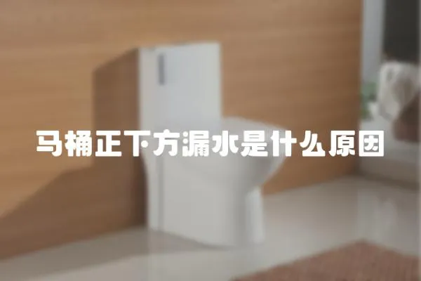馬桶正下方漏水是什么原因