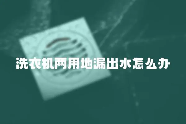 洗衣机两用地漏出水怎么办