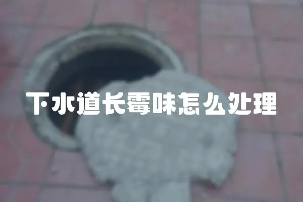 下水道長霉味怎么處理