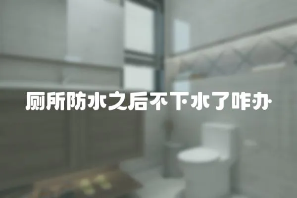 廁所防水之后不下水了咋辦