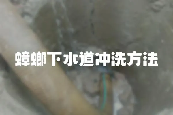 蟑螂下水道沖洗方法