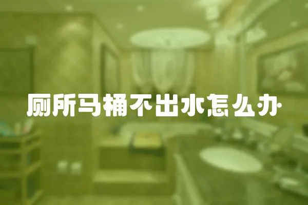 廁所馬桶不出水怎么辦