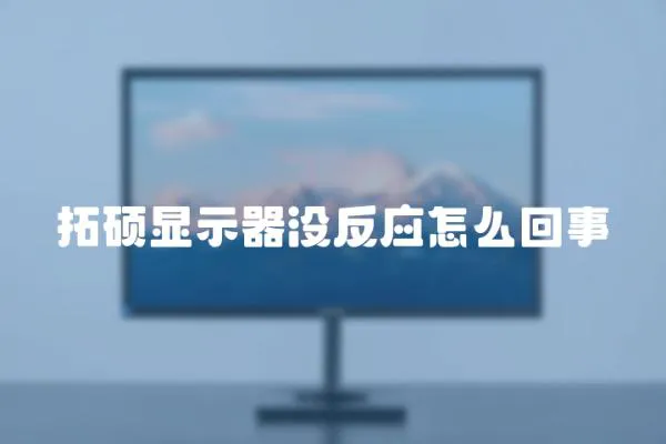 拓碩顯示器沒反應怎么回事