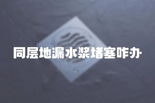 同層地漏水漿堵塞咋辦