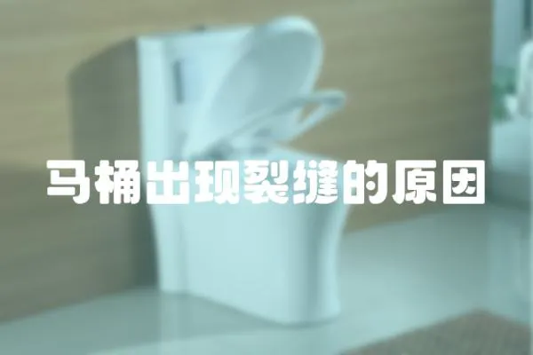 馬桶出現裂縫的原因
