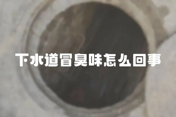 下水道冒臭味怎么回事