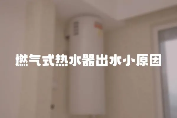 燃氣式熱水器出水小原因