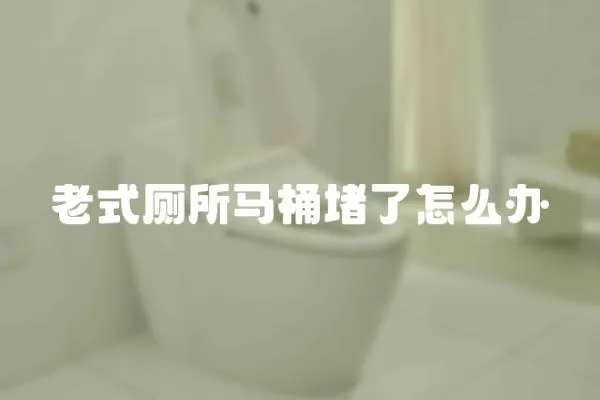 老式廁所馬桶堵了怎么辦