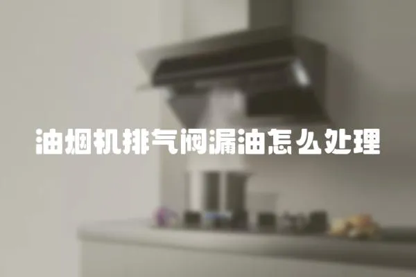油煙機排氣閥漏油怎么處理