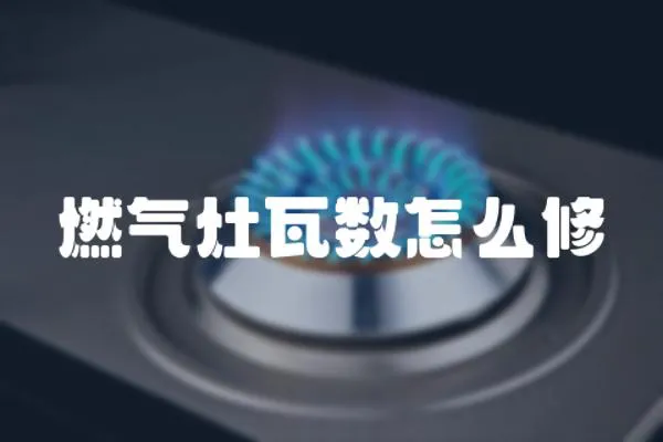 燃?xì)庠钔邤?shù)怎么修